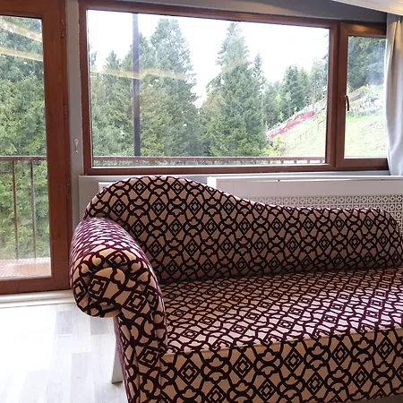 Hotel Doga 3*