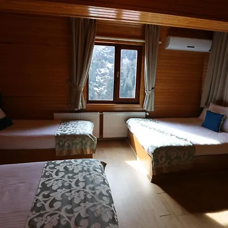 Doga Hotel 3*