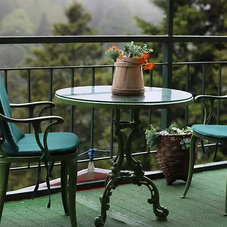 Hotel Doga 3*